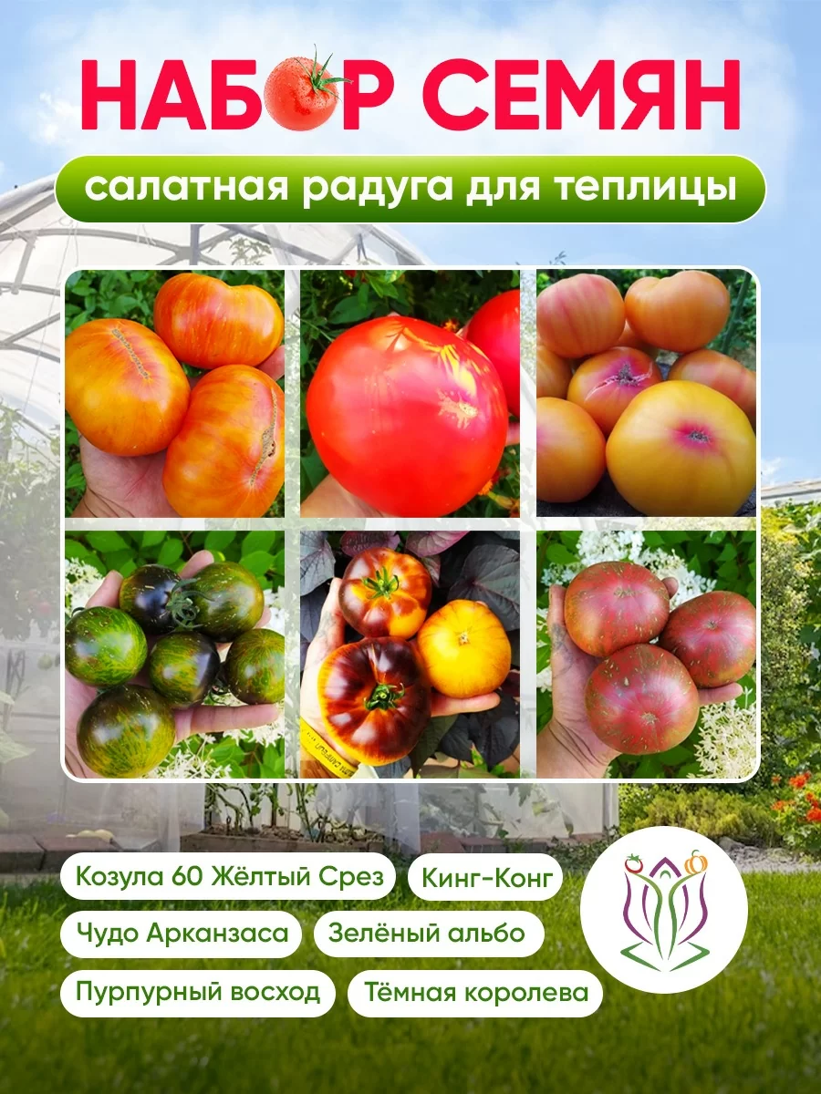 Набор семян "Салатная радуга для теплицы"