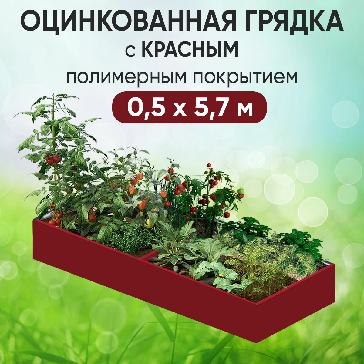 Грядка красная (0,5 х 5,7)