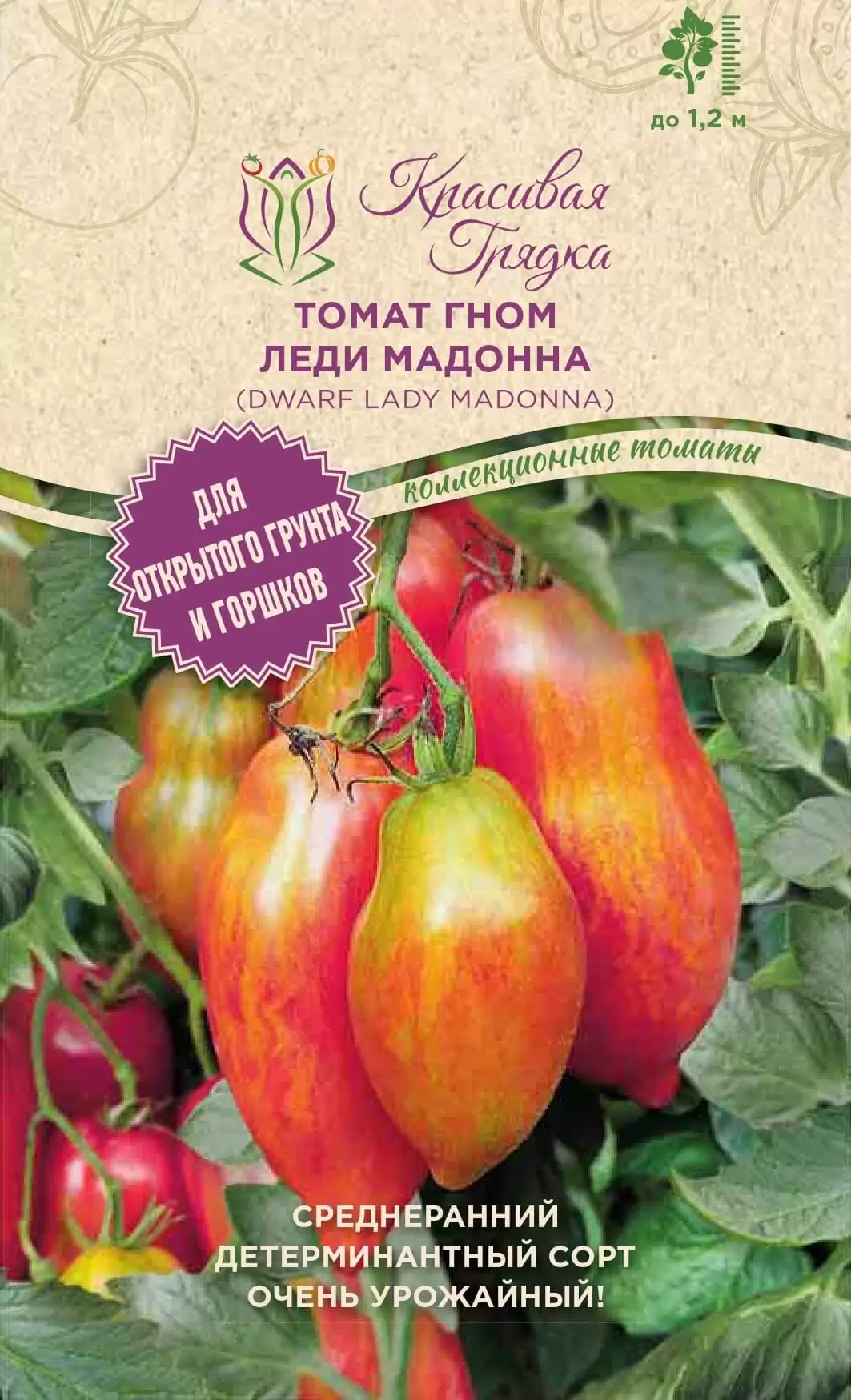 Томат Гном леди мадонна (Dwarf Lady Madonna)