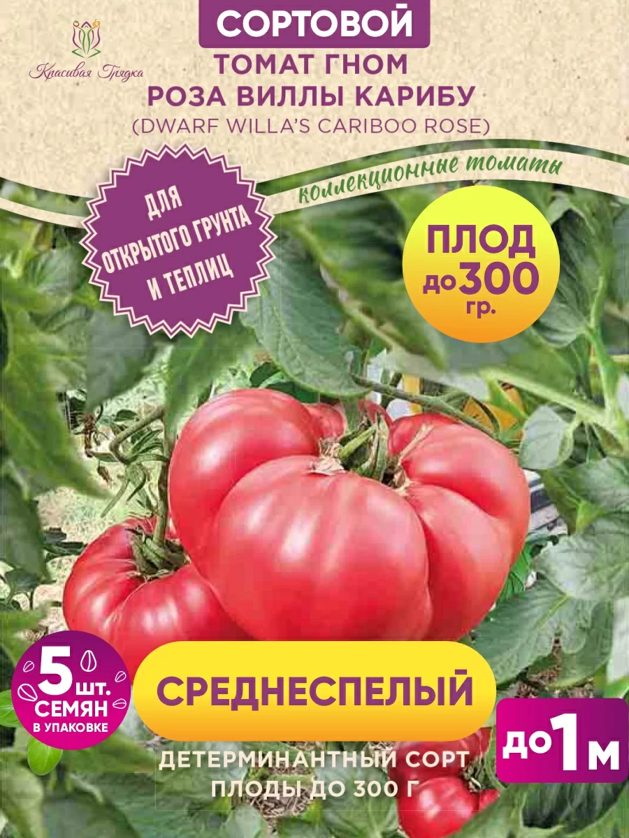 Гном роза виллы карибу 400