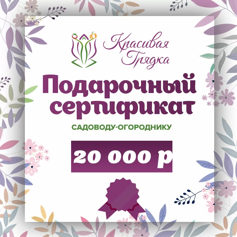 Подарочный сертификат 20000 р.