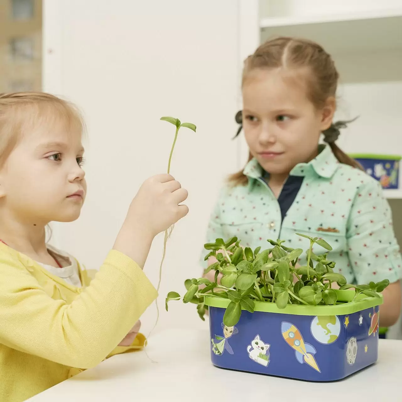 Набор для проведения опытов (для детей старше 5 лет)