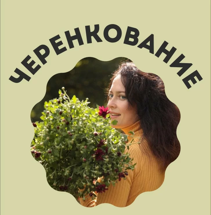 Подарок: Гайд: Черенкование (в электронном виде)