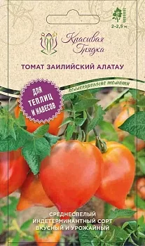 Томат Заилийский Алатау