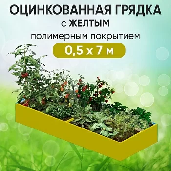 Грядка желтая (0,5 х 7)