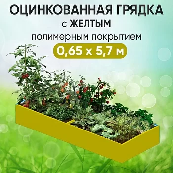 Грядка желтая (0,65 х 5,7)