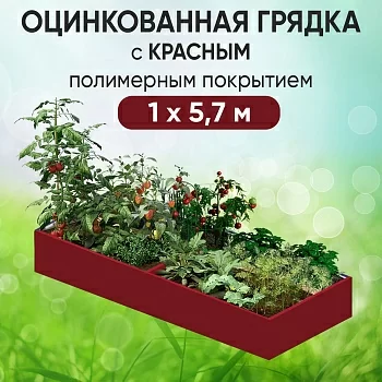 Грядка красная (1 х 5,7)
