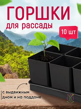 Набор для рассады с выдвижным дном